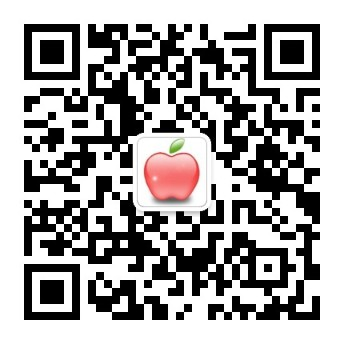 开云电动车官网
